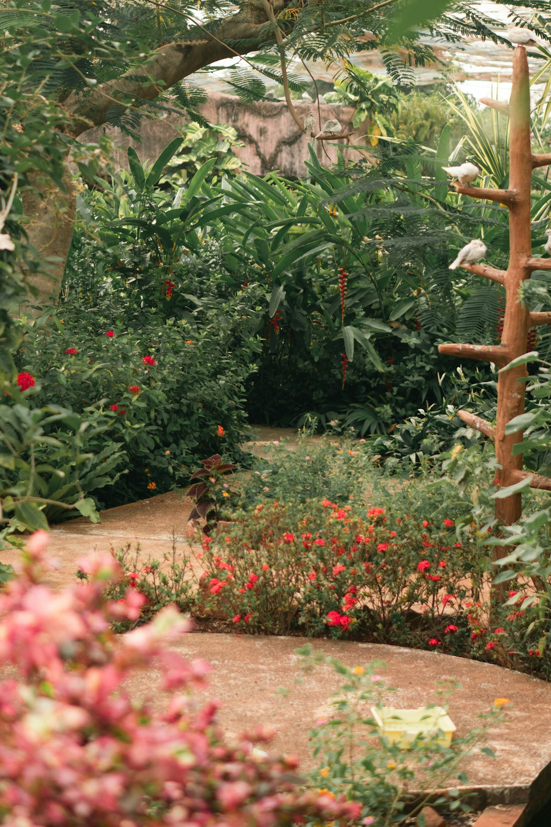 A path leads through a lush garden.