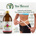 Detox & Fit – Succo Bio Aloe Vera, Zenzero, Limone e Curcuma | Depurativo e Digestivo