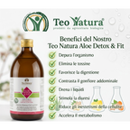 Detox & Fit – Succo Bio Aloe Vera, Zenzero, Limone e Curcuma | Depurativo e Digestivo