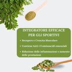 Organic Moringa Oleifera in Capsules | 50 Capsules