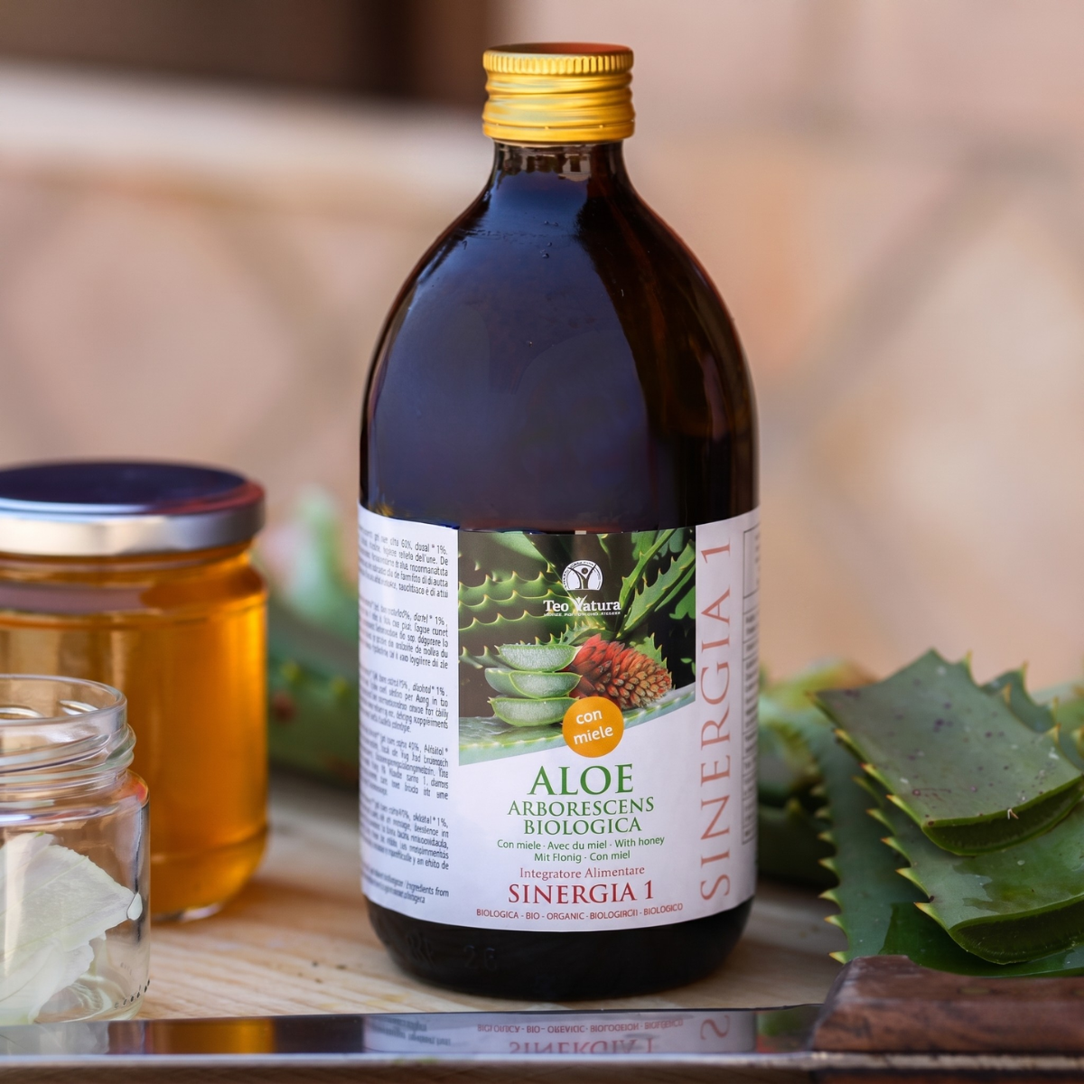 Aloe Arborescens Father Zago | SYNERGY 1 | 500ml - Original Organic Recipe