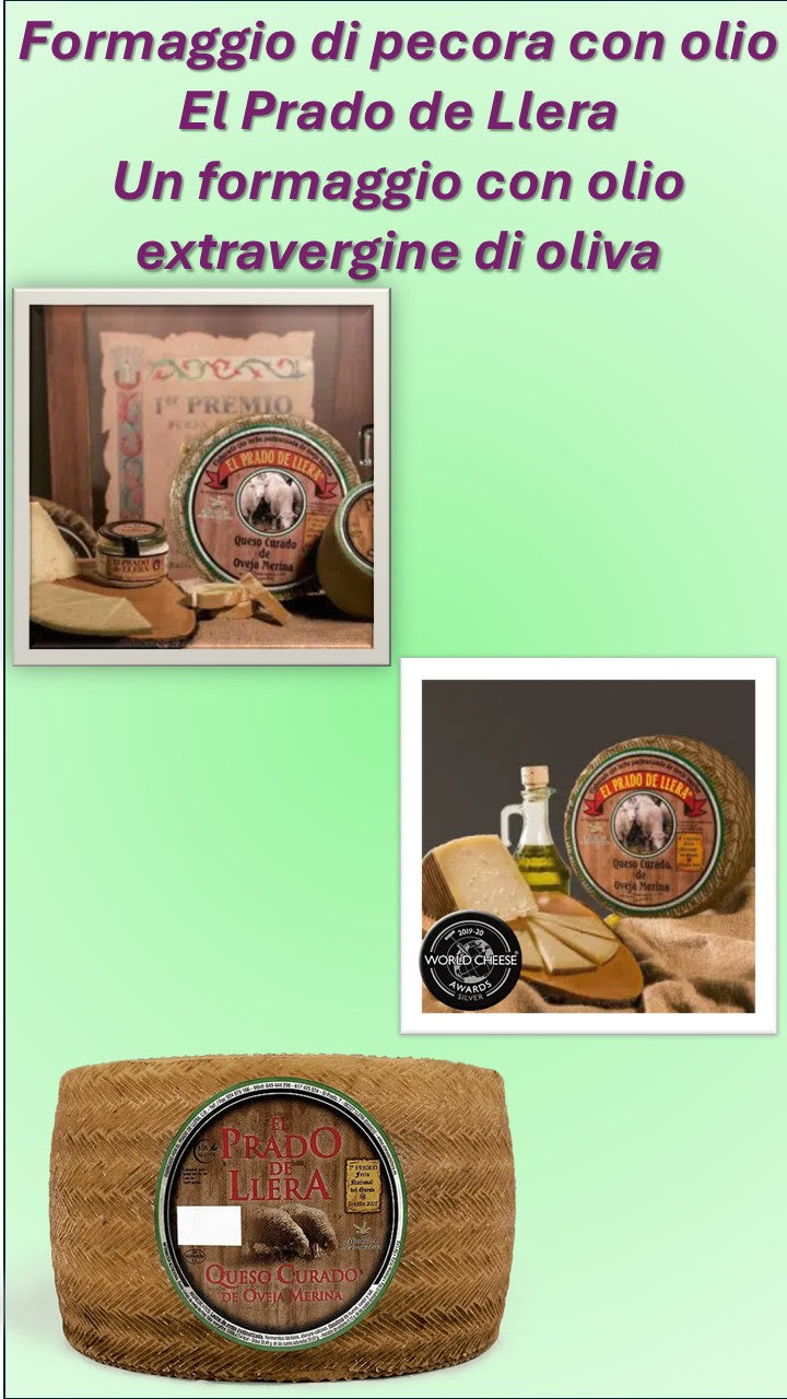 AGED PECORINO CHEESE WITH OLIVE OIL EL PRADO DE LLERA