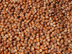 Piedmont PGI Hazelnut Tiles: Crispy, Thin, Uncompromising. Over 50% Hazelnuts, Gluten-Free