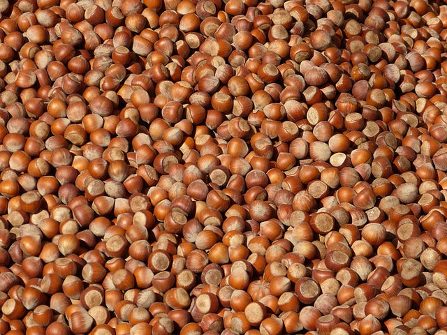 Piedmont PGI Hazelnut Tiles: Crispy, Thin, Uncompromising. Over 50% Hazelnuts, Gluten-Free