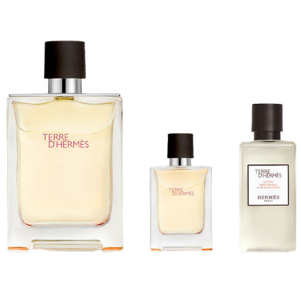 HERMES TERRE D'HERMES GIFT SET EDT 100 ML + AFTERSHAVE 40 ML