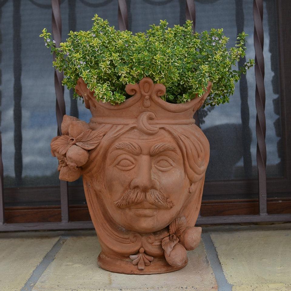 Head h 25 terracotta lemons male