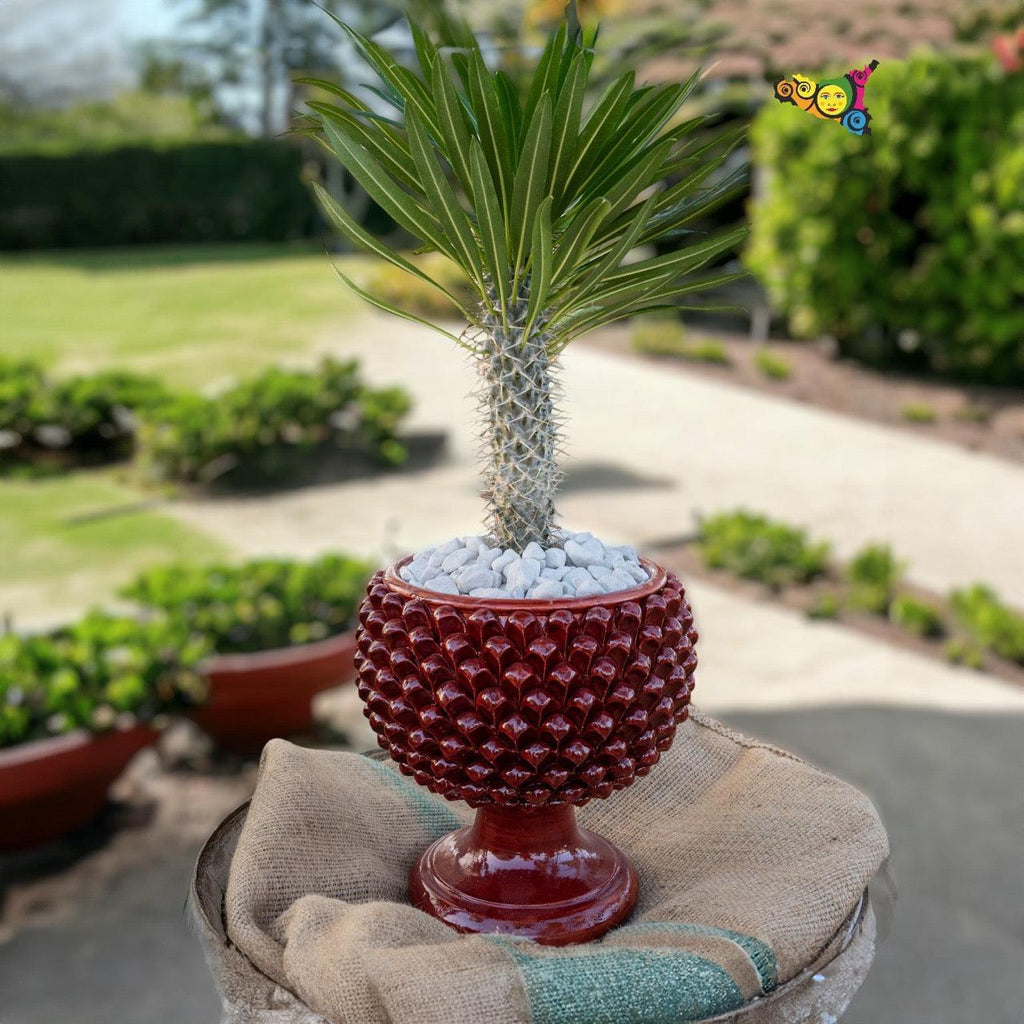 Vaso Mezza Pigna in Ceramica di Caltagirone — Bordeaux